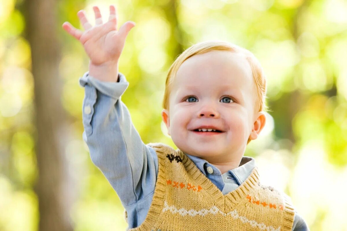 Изображение из открытого источника в интернете. 