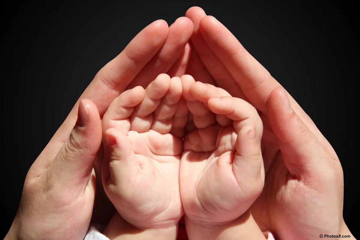 Изображение из открытого источника в интернете. 