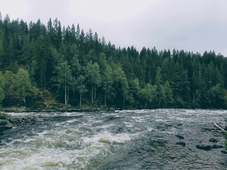 Daniil Perunov\unsplash.com