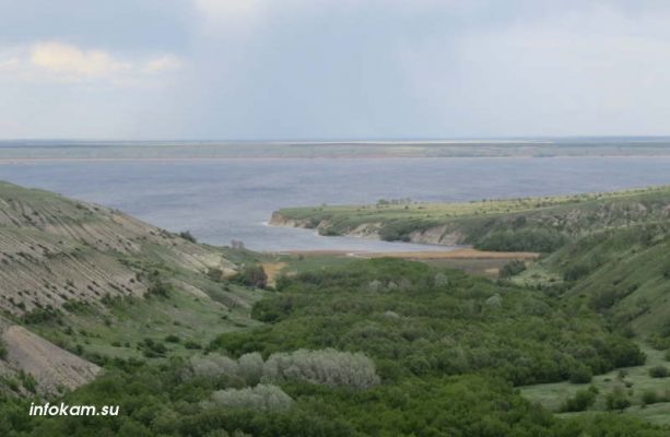    Природный парк «Щербаковский» (Камышинский район)