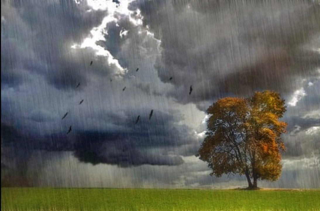 (Иллюстрация из открытого доступа в Интернете)