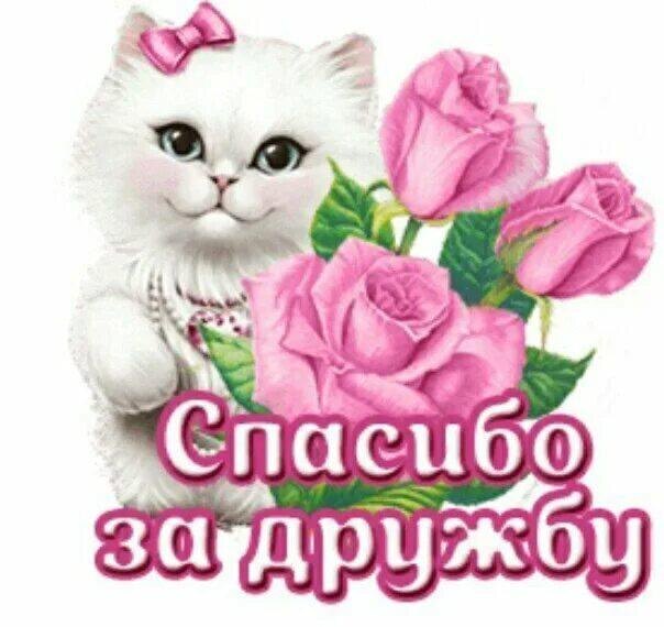 Из открытого источника.❤️