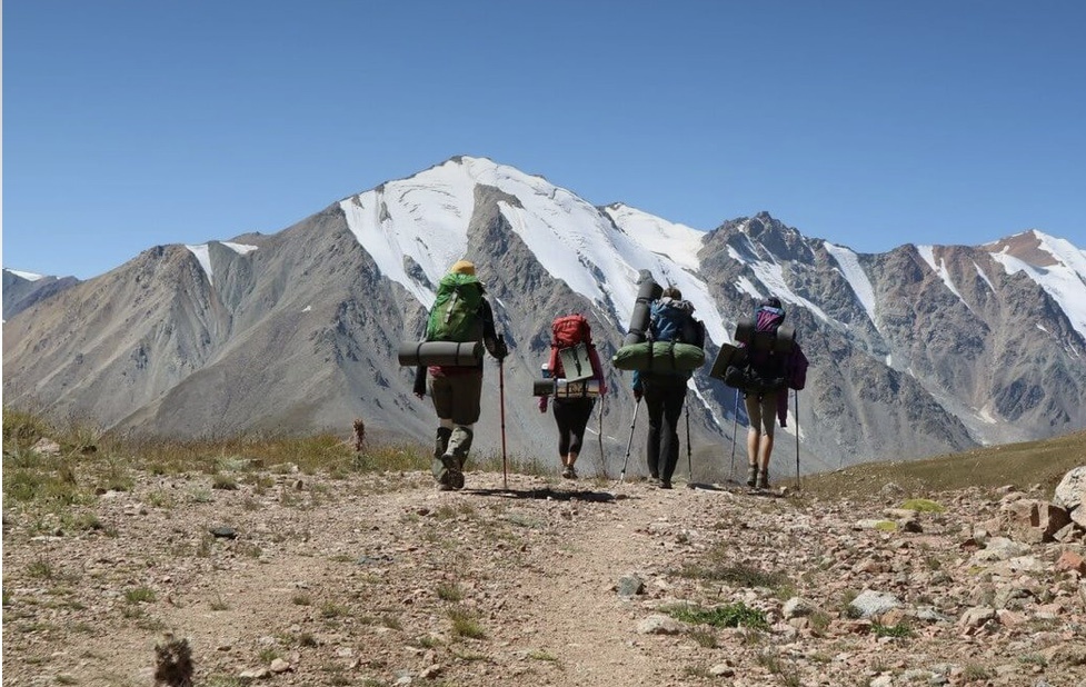 Фото из интернета 