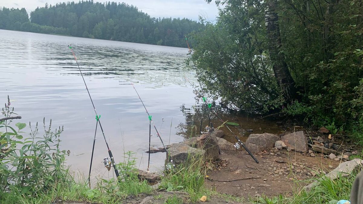 Несколько кадров с рыбалки на леща в Ленинградской областит 3/4