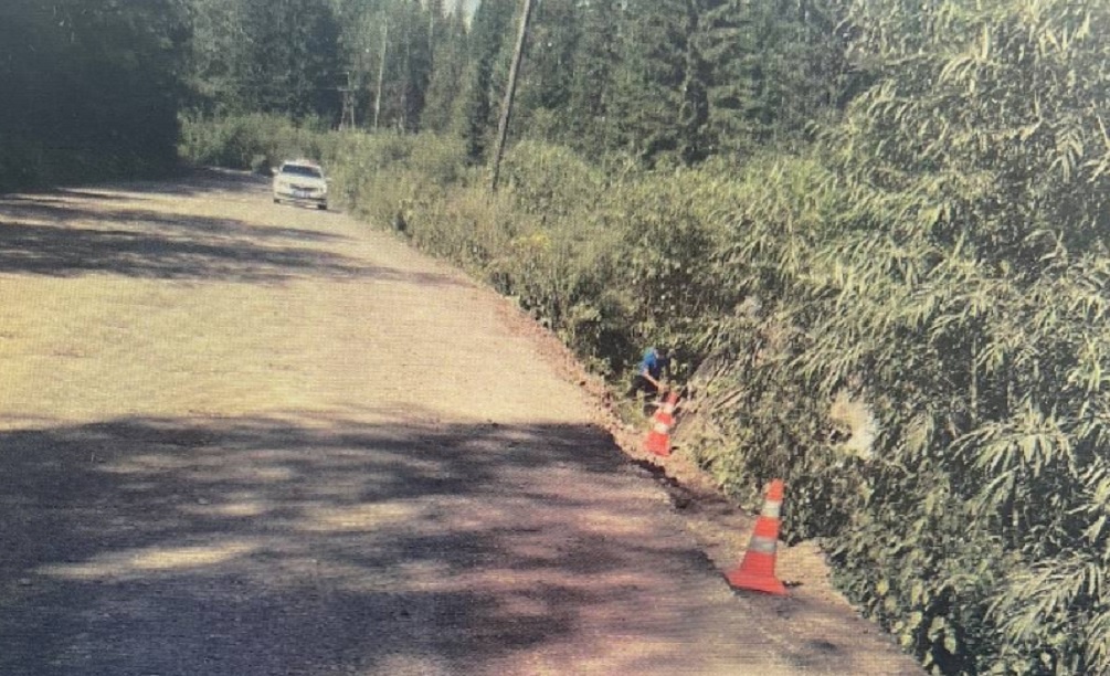    ГУ МВД Красноярского края