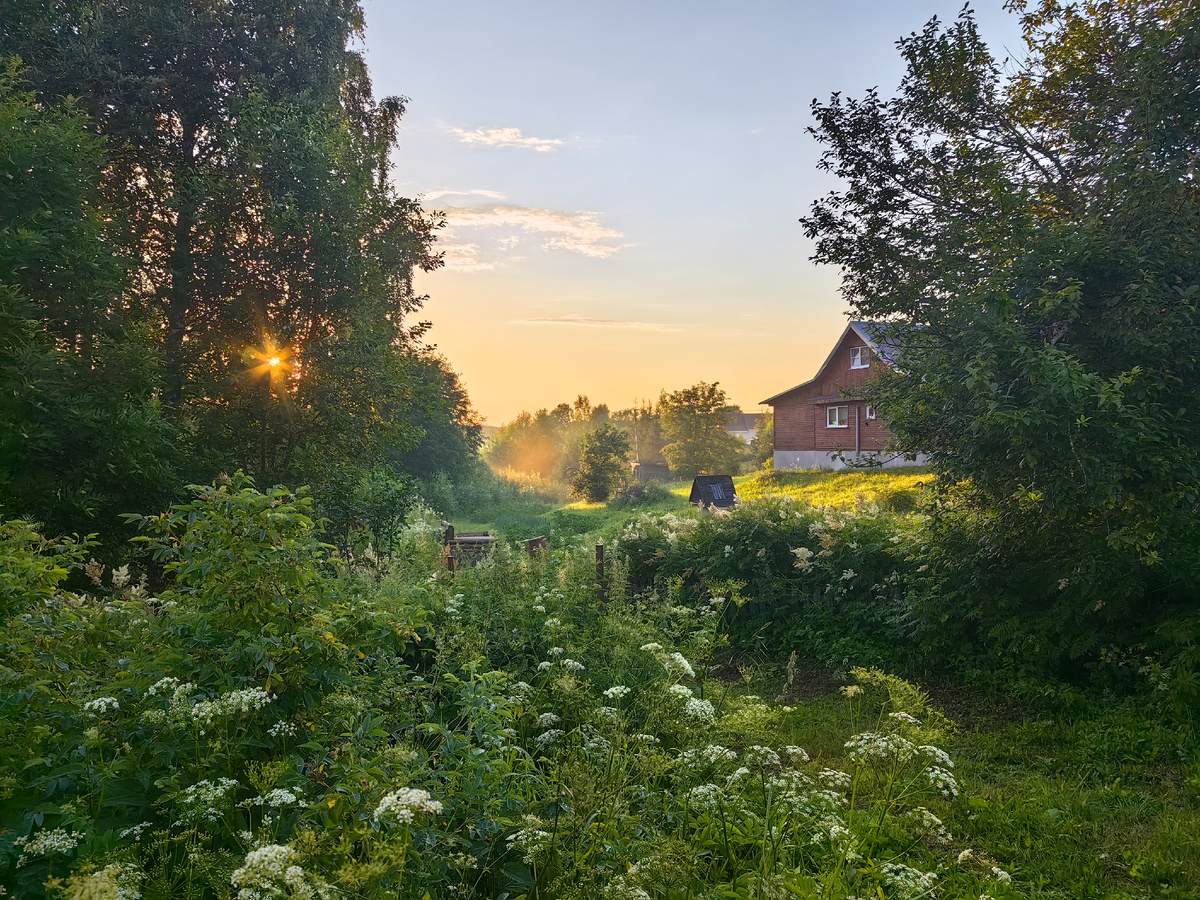 Снимок на конкурс