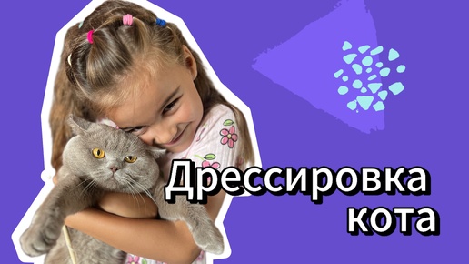 Дрессирую кота и играю с ним.