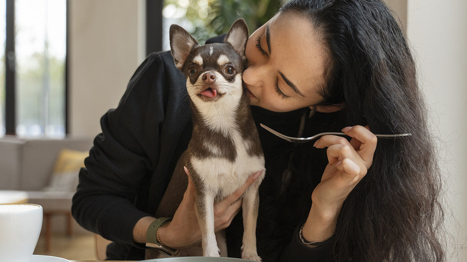     Источник здесь и далее: freepik.com