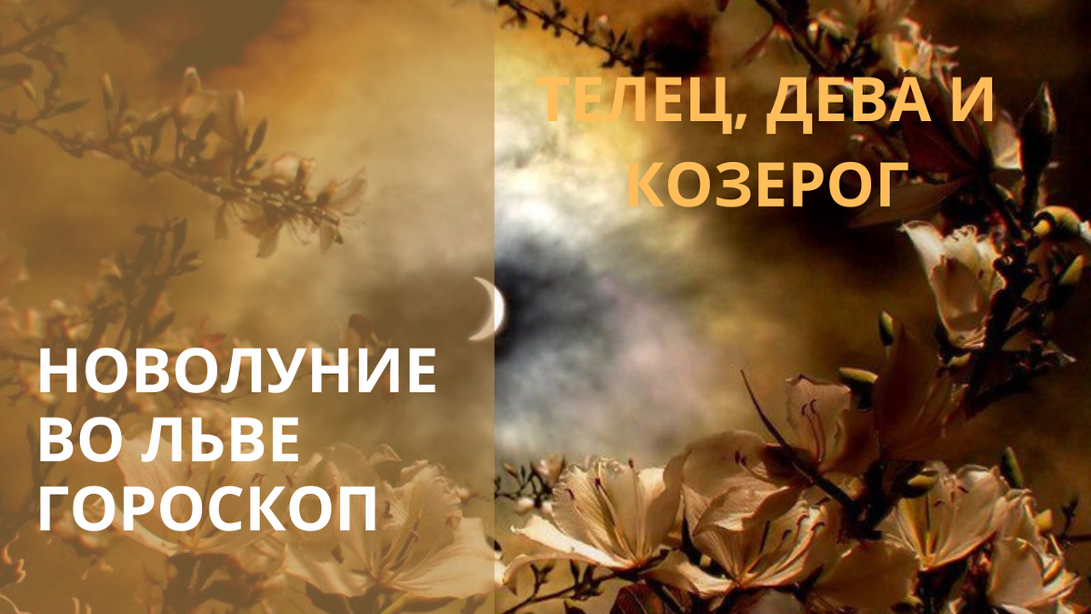 Новолуние. Фото ru.pinterest.com