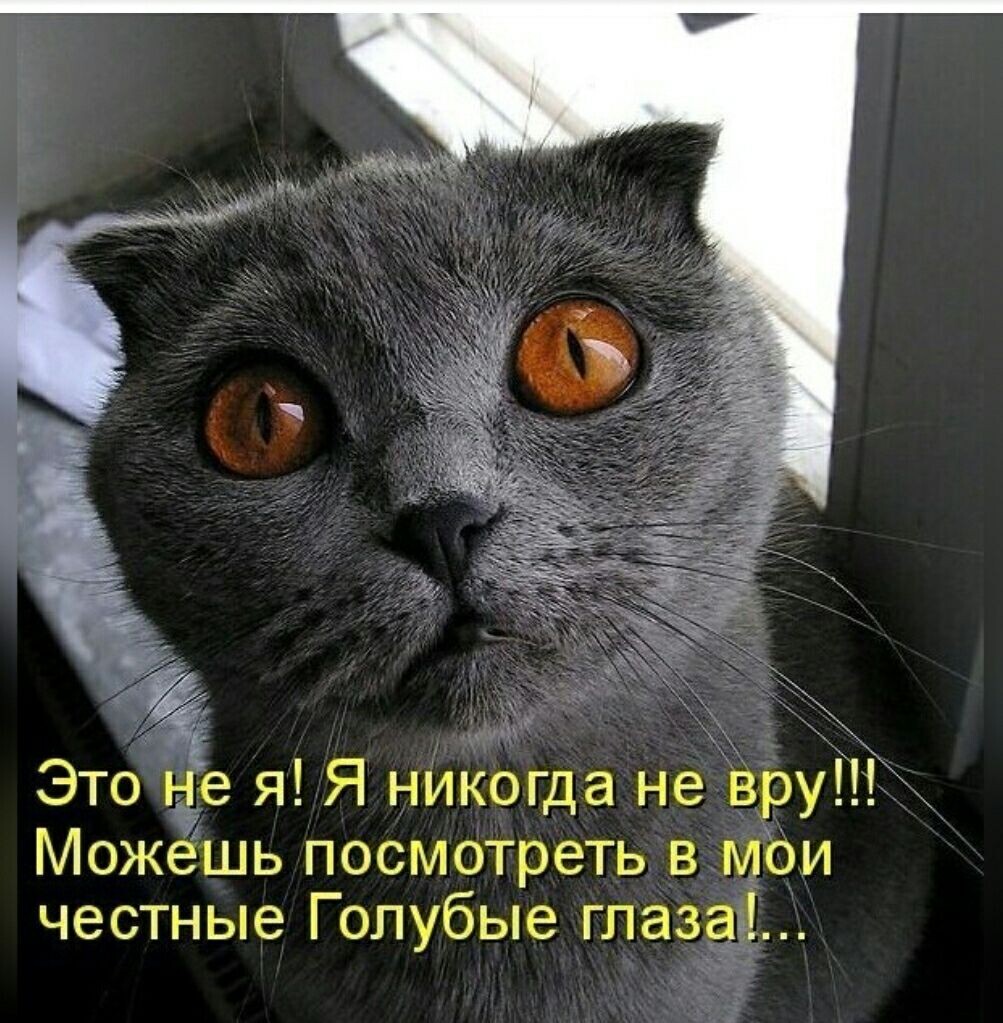 источник Яндекс-картинки