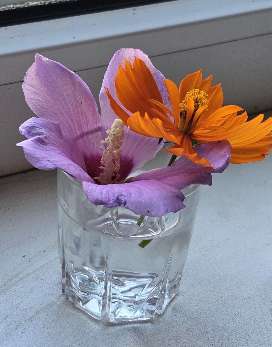 Сын нарвал цветов и принес бабушке