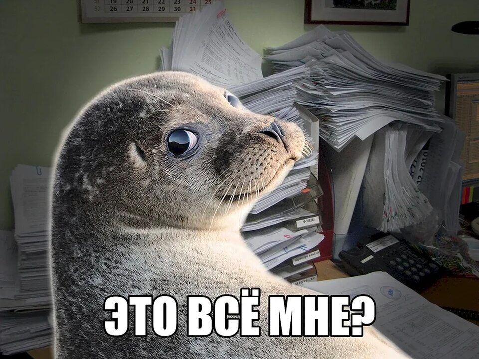 Изображение взято из открытых источников в качестве иллюстрации