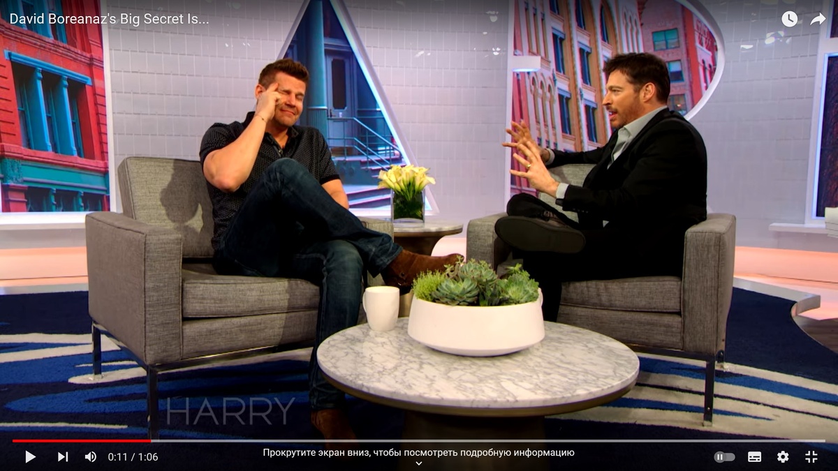 Фото: скриншот с видео