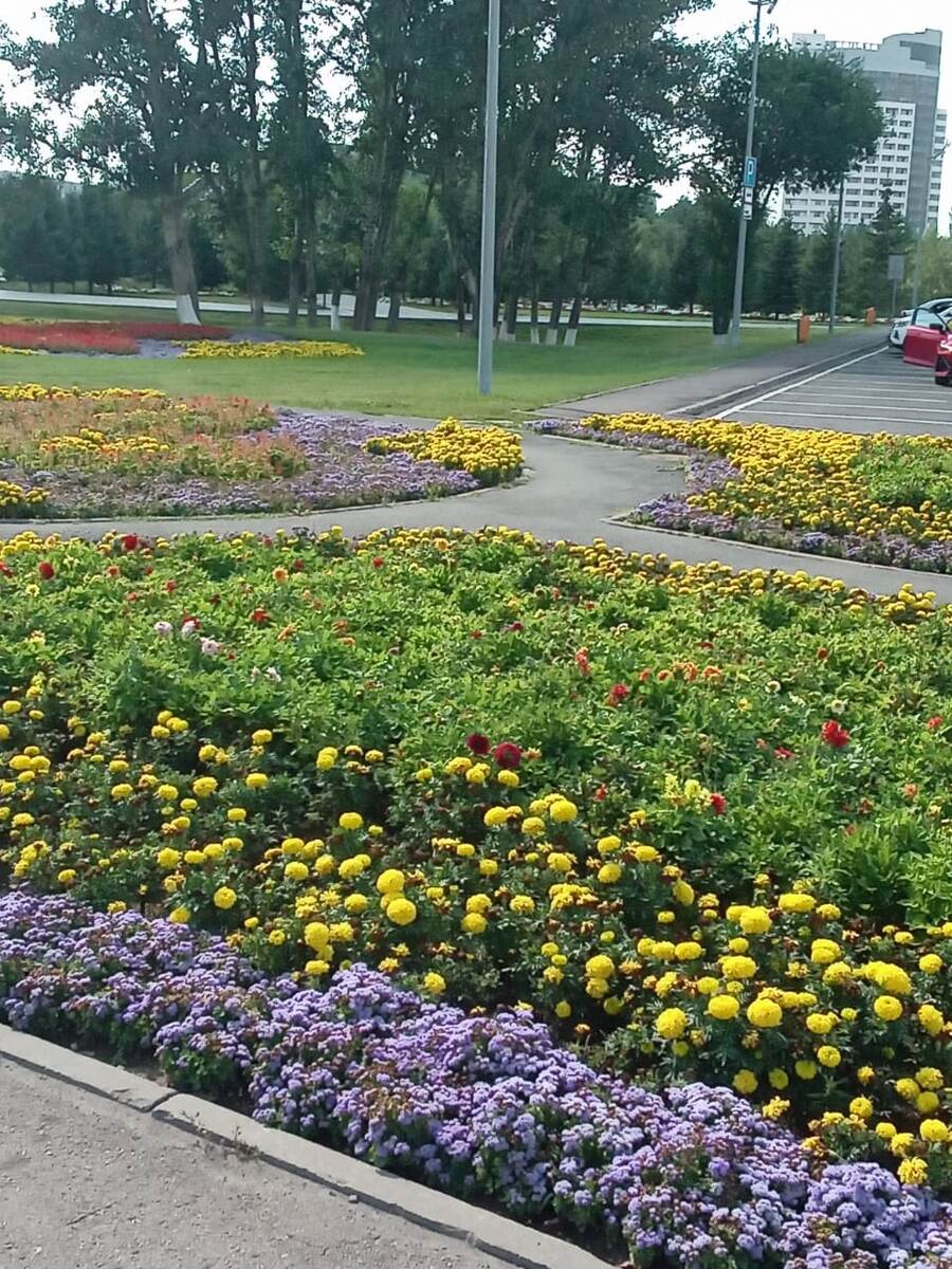 В городе много зелени.