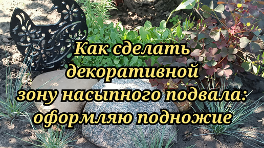 Как сделать декоративной зону насыпного подвала: оформляю подножие клумбой