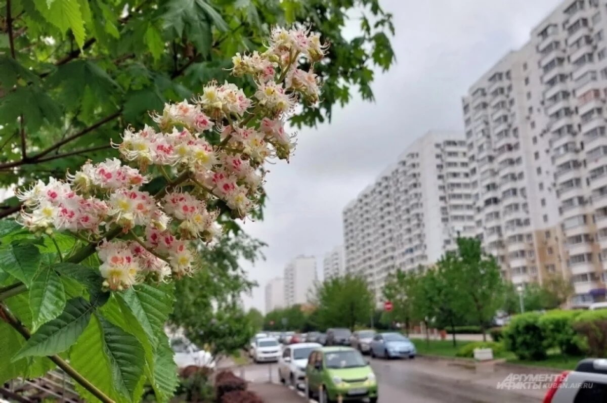    На Кубани устранили аварию, оставившую без воды более 50 тысяч жителей