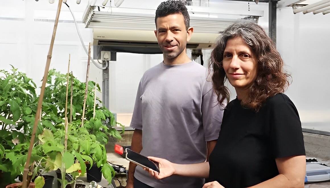 Фото учёных из видео с канала университета