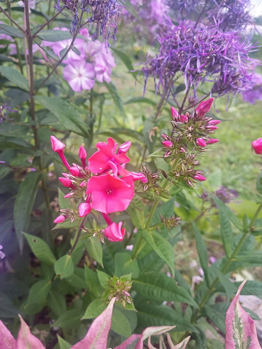 Смотрите на размер, не на цвет 