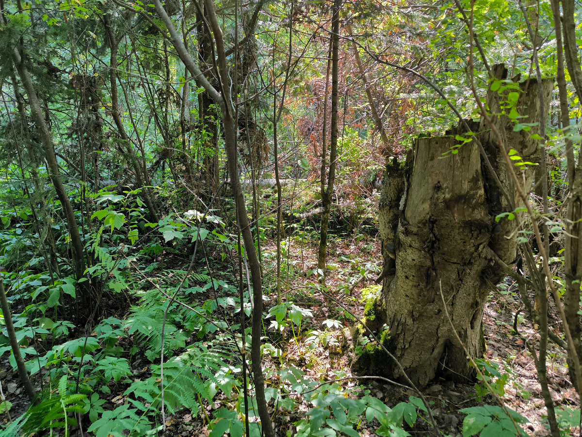 Это место ещё проходимо