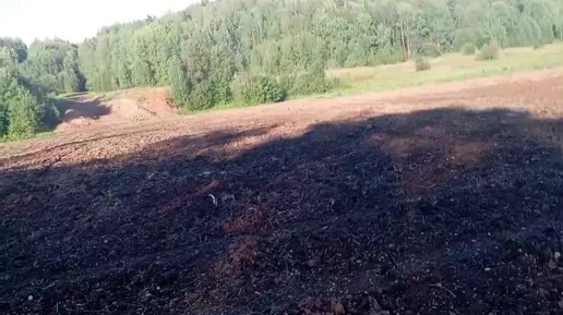 Человек за всё в ответе и многое дано, только не осознаем наших способностей