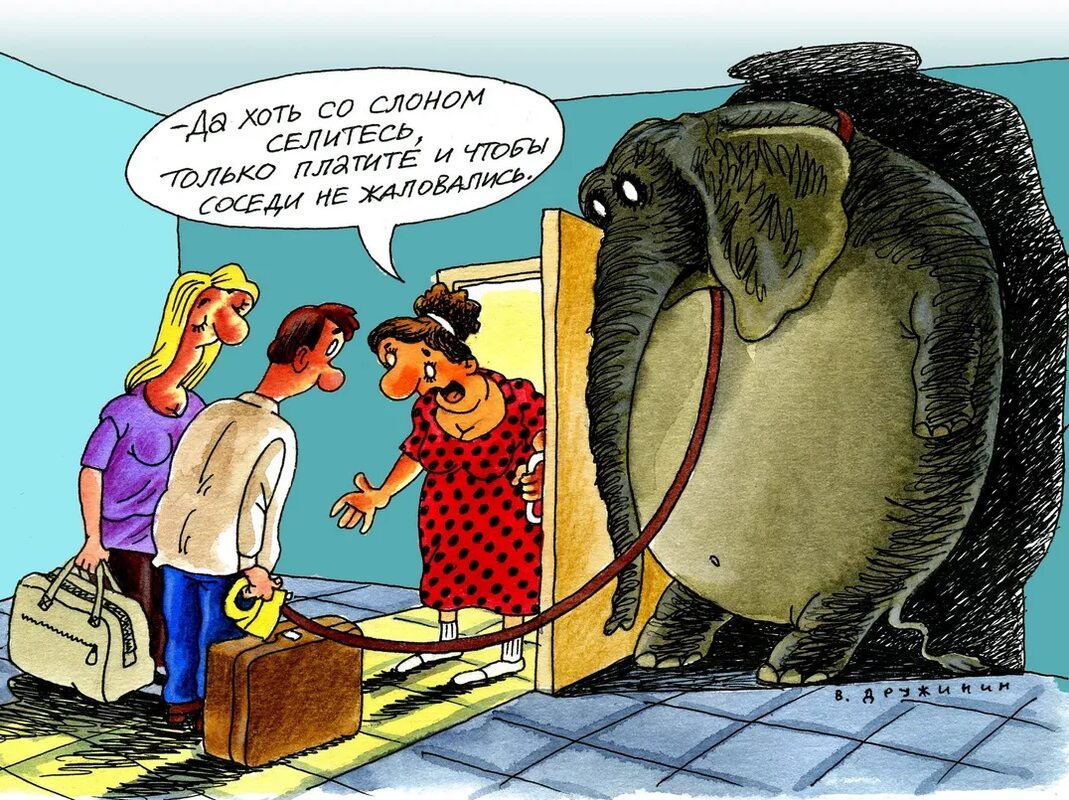 Фото из открытых источников интернета