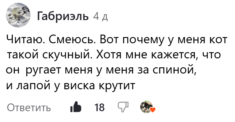 «Обозвала болотной тварью»: московскую пенсионерку избила уроженка Средней Азии | Пикабу