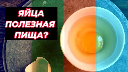 Яйца – полезная пища для человека или для вирусов и бактерий, которые вызывают болезни?