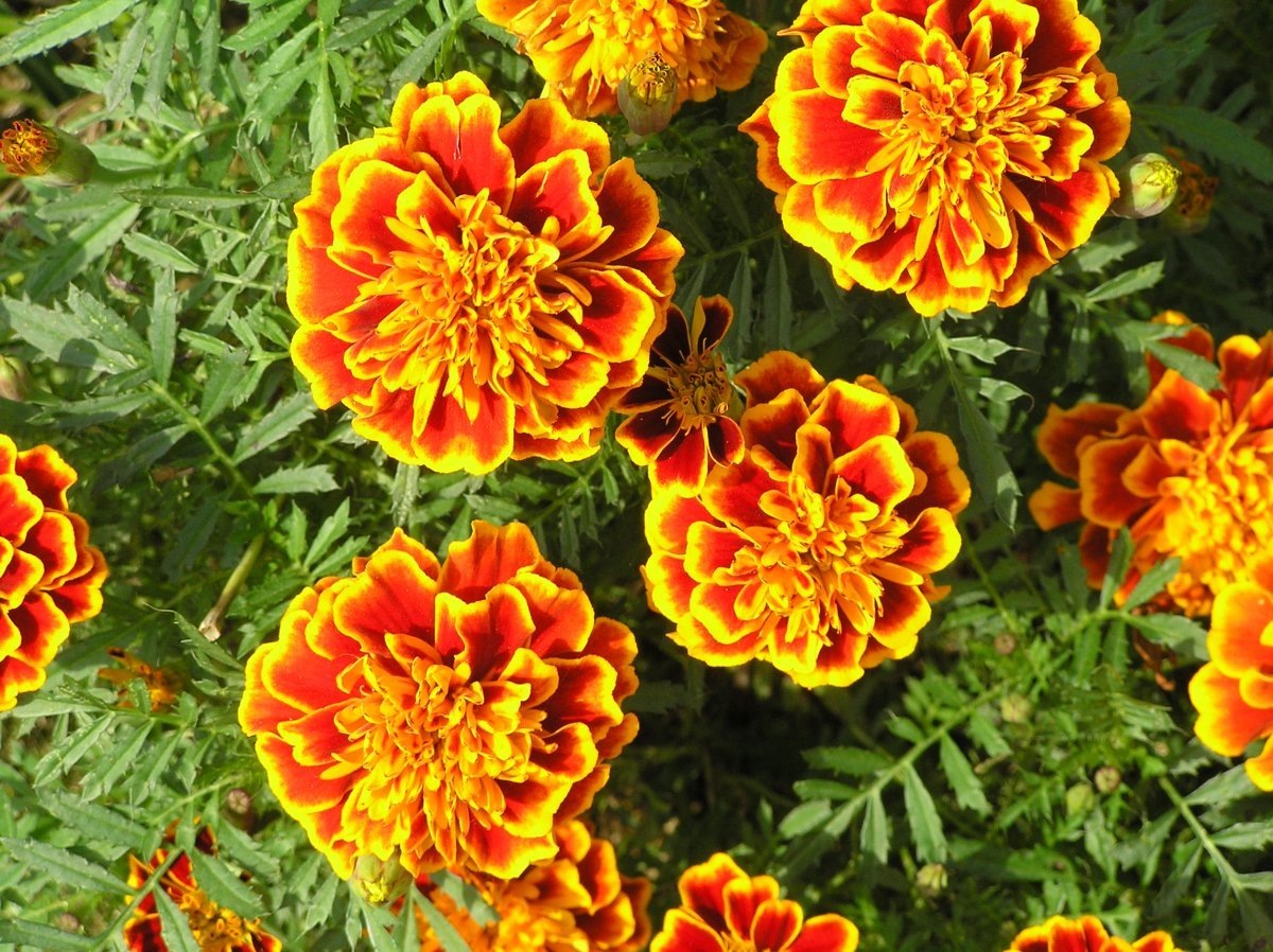 фото из интернета
