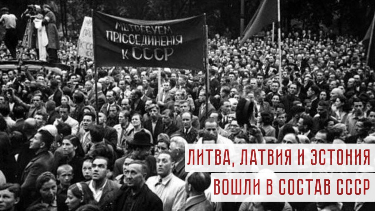 Митинг в Литве