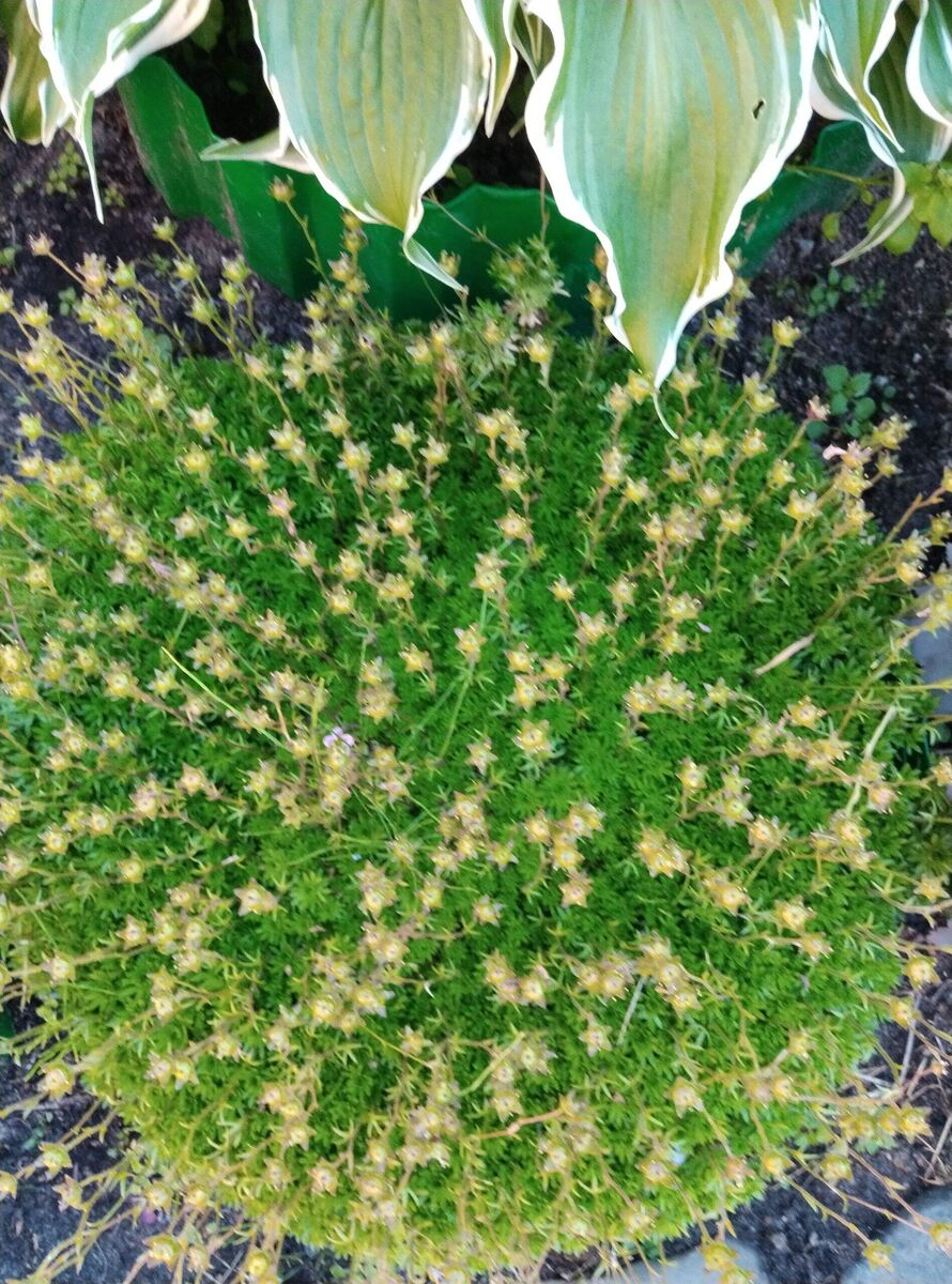 Карелия. Прионежский район.