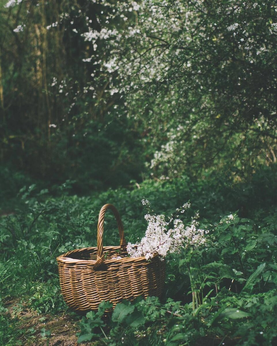 фото из интернета.