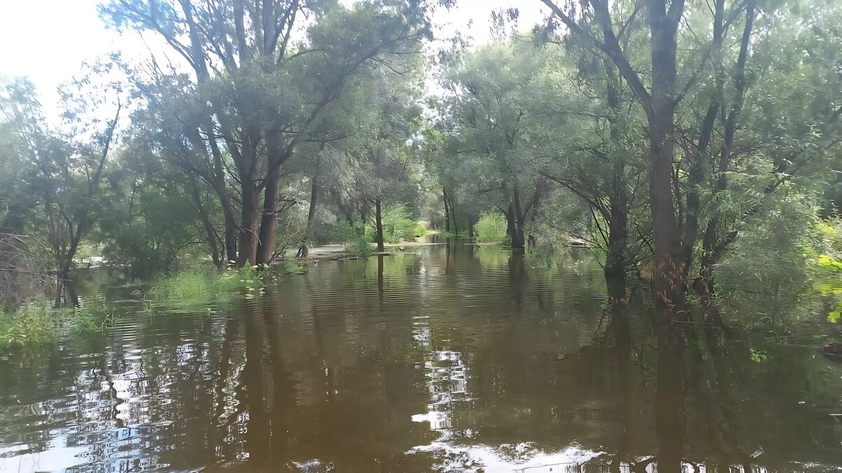     Источник: 1MI