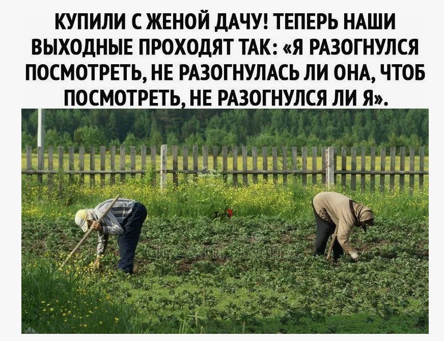 Дача - это и тренажерный зал, и солярий, и аэробика 😊 Фото из открытых источников