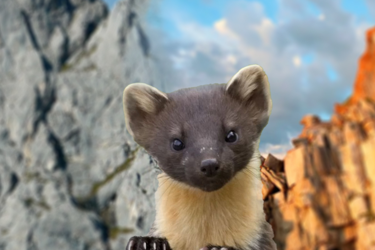 Готовы понервничать? Я лично на спокойном