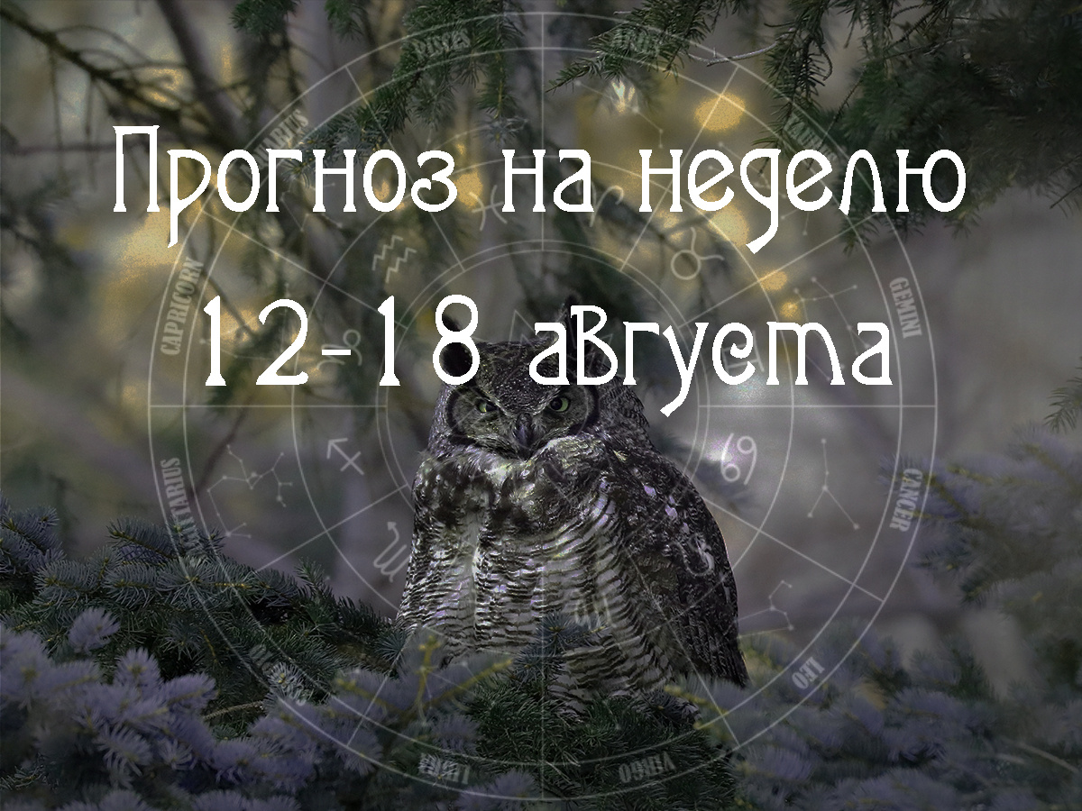 Астрологический прогноз на 12 – 18 августа 2024 года