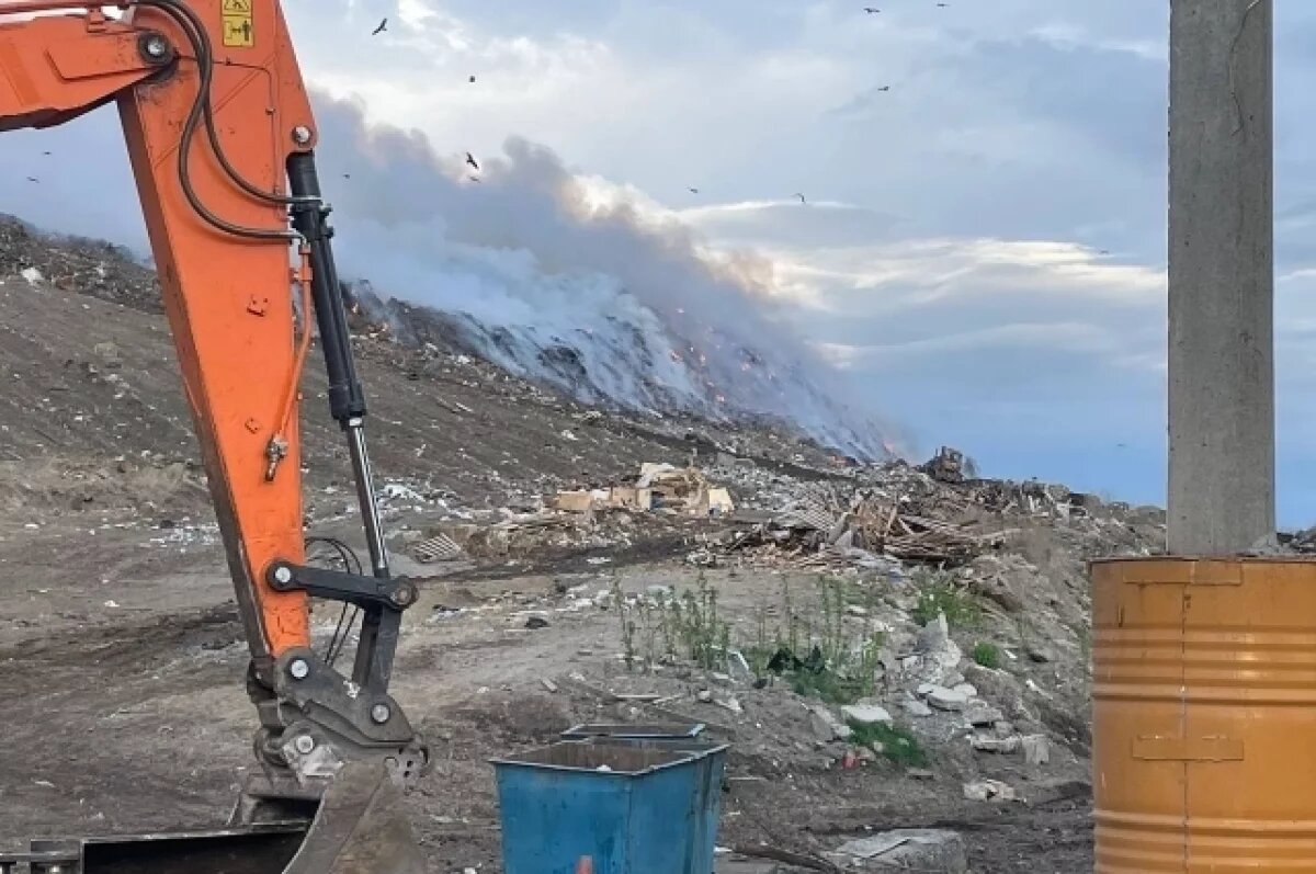    Мусорный полигон в Коченово под Новосибирском снесут за 5 млн рублей