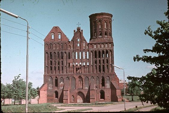 В моем детстве деревья уже были повыше)))