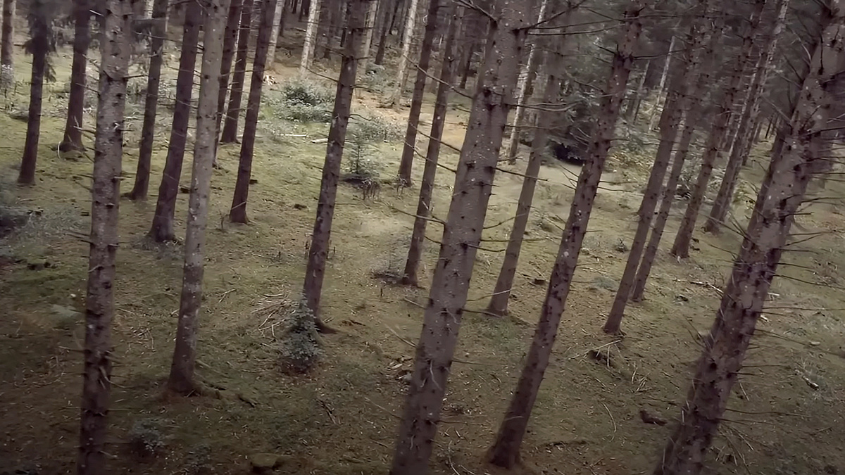 Кадр из фильма "Тем временем на Земле"