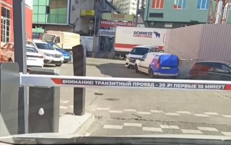   Фото: скриншот из видео (тг-канал «Типичный Сочи»)