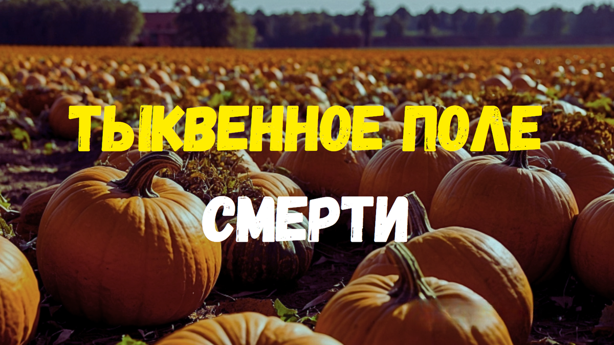 Жуткие события происходят на тыквенном поле, где ежегодно накануне Хэллоуина находят тела людей с вырезанными на лицах тыквенными масками. Семья главной героини Джейн пытается разорвать древнее проклятие, наложенное на поле, и обнаруживает могилу ведьмы, чьи останки необходимо предать огню. Сможет ли семья избавиться от кровавого проклятия раз и навсегда?