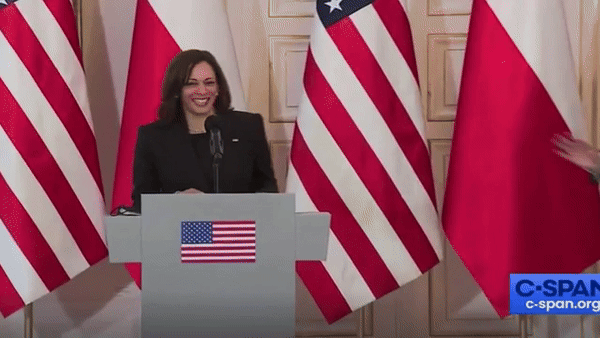 Странная реакция вице-президента США на вопрос о проблеме украинских беженцев. Тут действительно есть, над чем посмеяться, Камала? Видео: Daily Mail