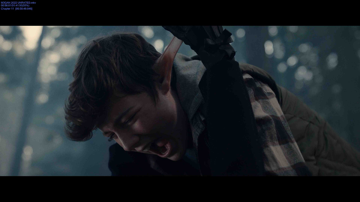 М3ГАН 2022. Режиссер: Джерард Джонстоун. Кинокомпании	
Blumhouse Productions, Atomic Monster Productions, Divide/Conquer