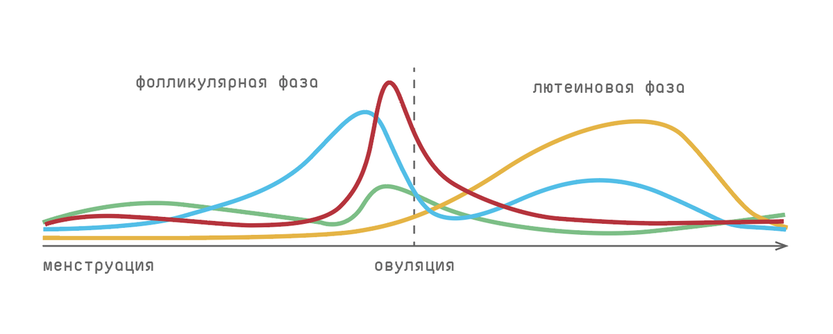 График гормональных всплесков