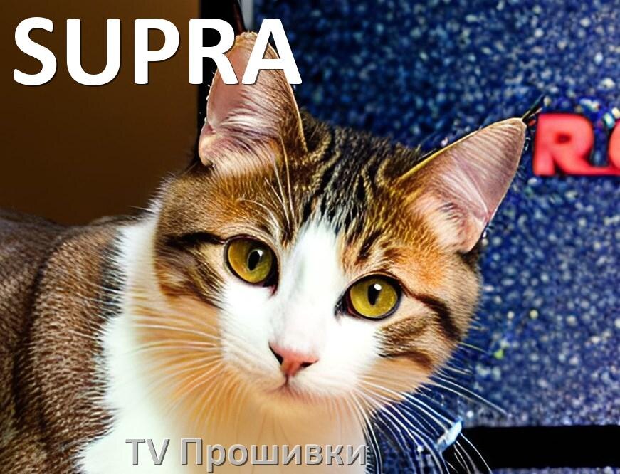 
Прошивки на телевизоры SUPRA Android TV на Smart и дампы памяти на обычные