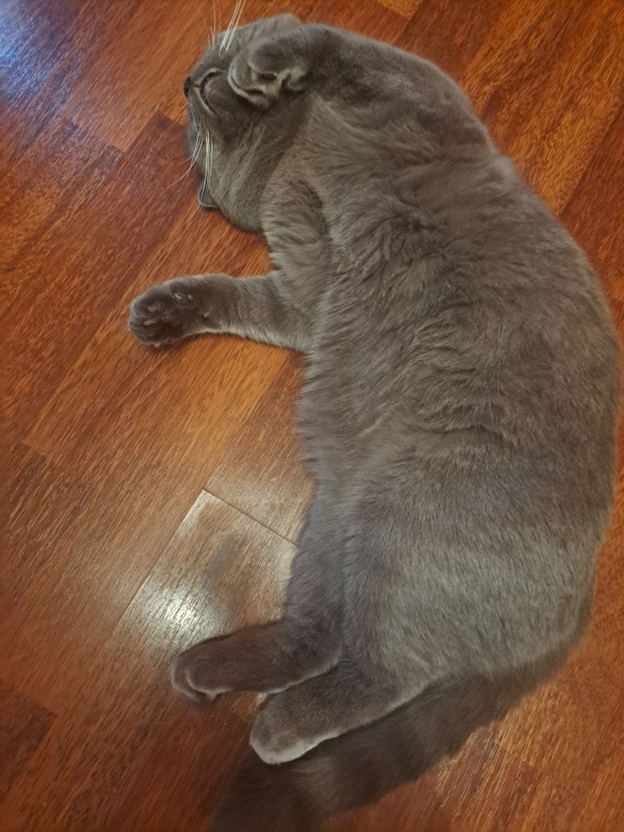 Решили мы тут продать свою квартиру и построить свой дом, так как с мужем мы выросли в домах и квартира нас угнетала.-8