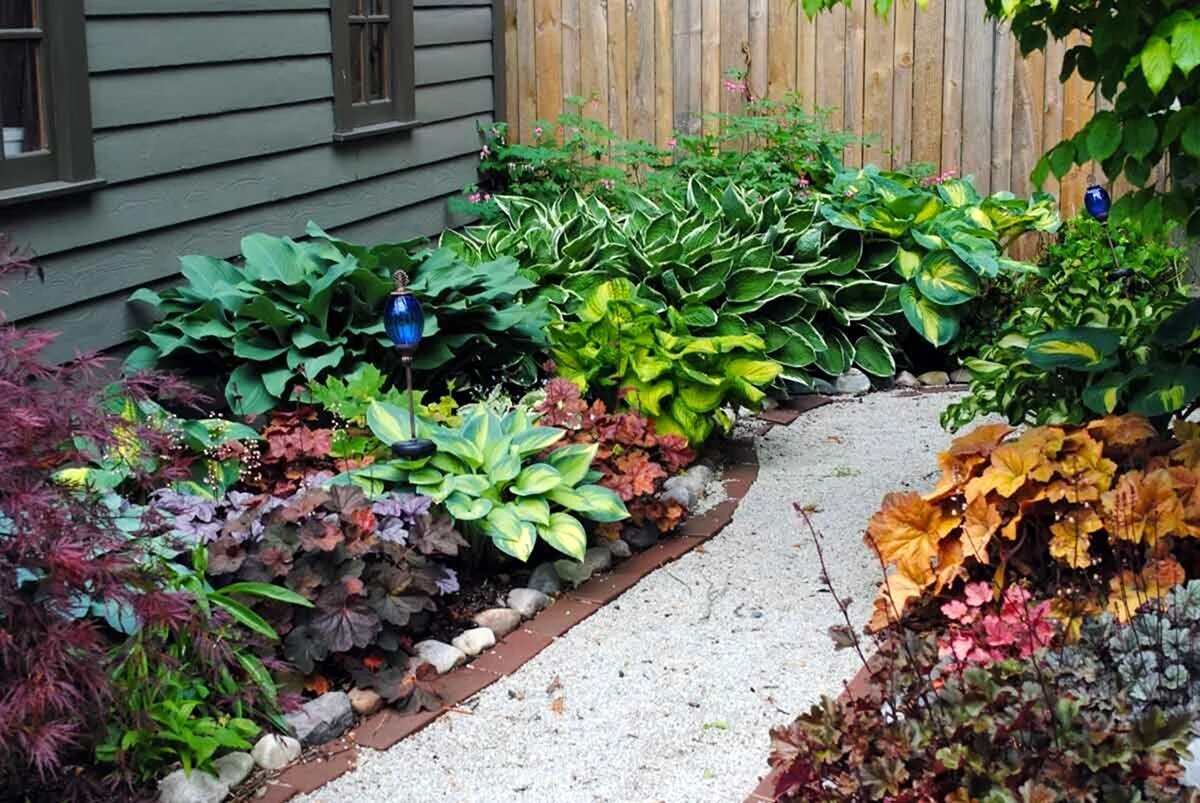 Фото из интернета