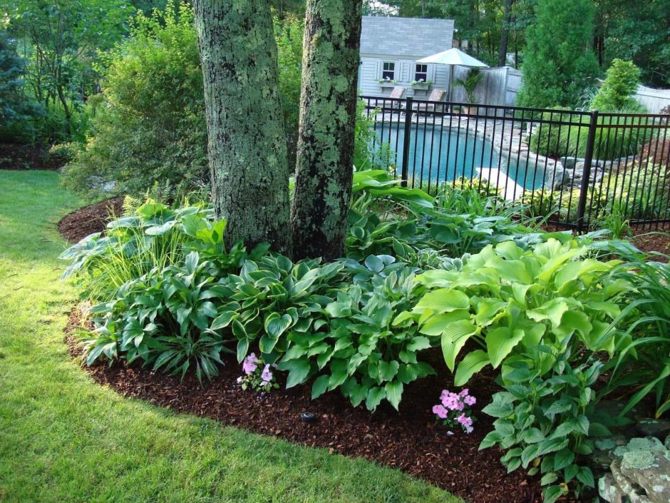 Фото интернета.