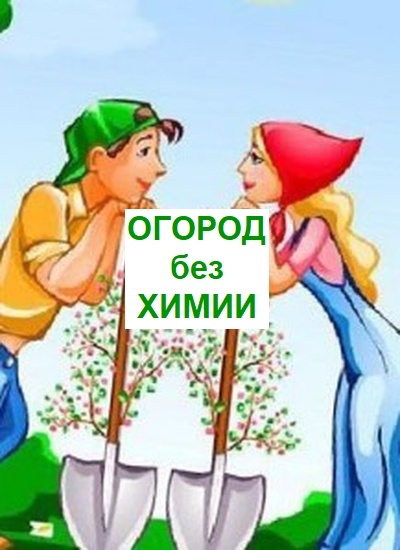дачные советы