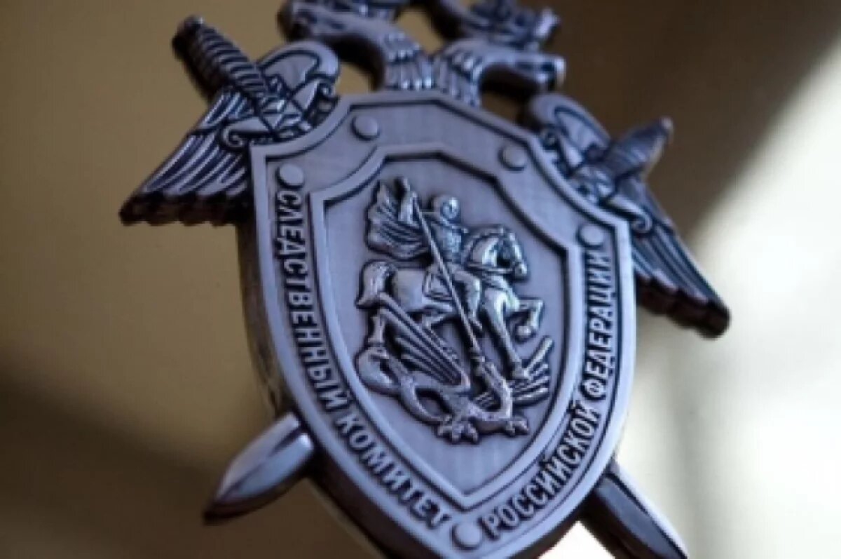    Драка на набережной Степана Разина Твери заинтересовала прокуратуру и СК