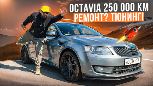 SKODA OCTAVIA A7 250 000 км тюнинг вместо ремонта!